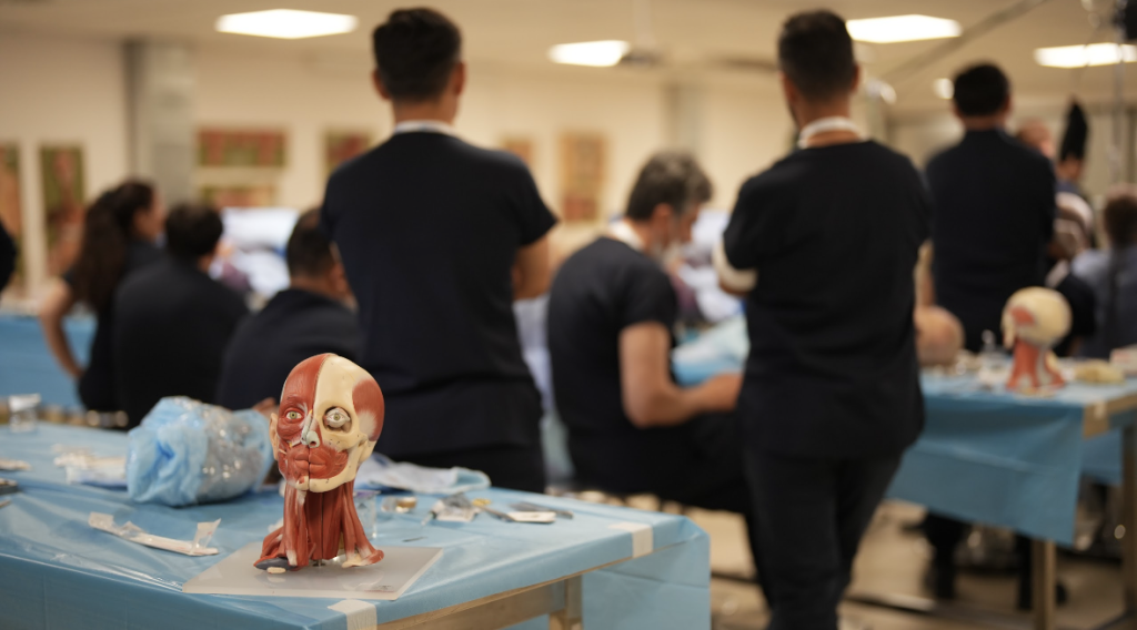 cadaver course 2025