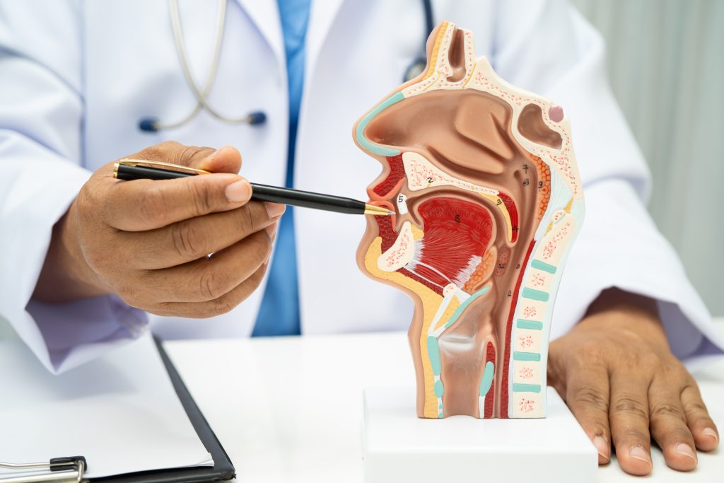 ENT Fellowship Program asian doctor with nasal oral throat cavity neck human anatomy mo