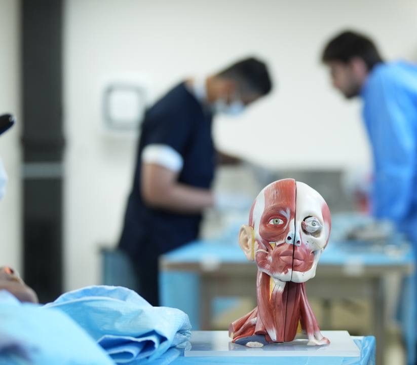 Facial surgery theoretical training